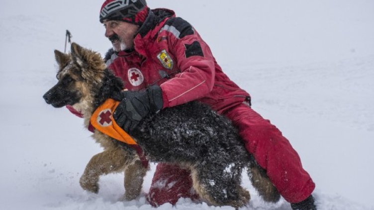 Снимка: архив "Булфото"