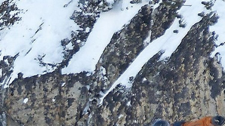 Снимка: архив "Булфото"