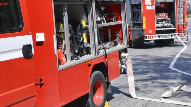 Снимка: Архив, Булфото