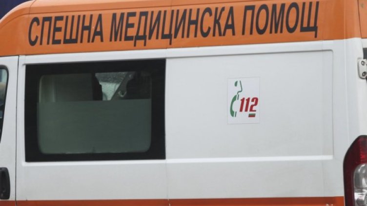 Снимка: Архив, Булфото