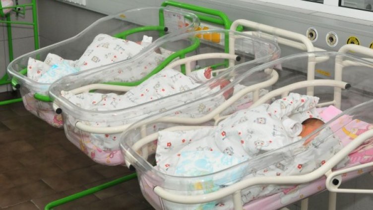 Снимка: архив, Булфото