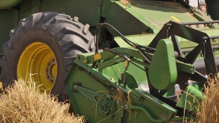 Снимка: Булфото