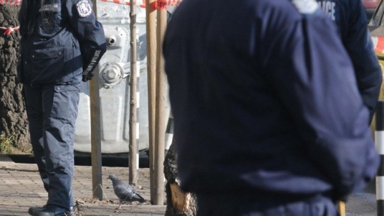 Снимка: архив, БулФото