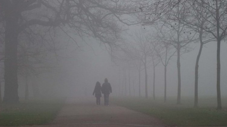 Снимка: архив, Булфото