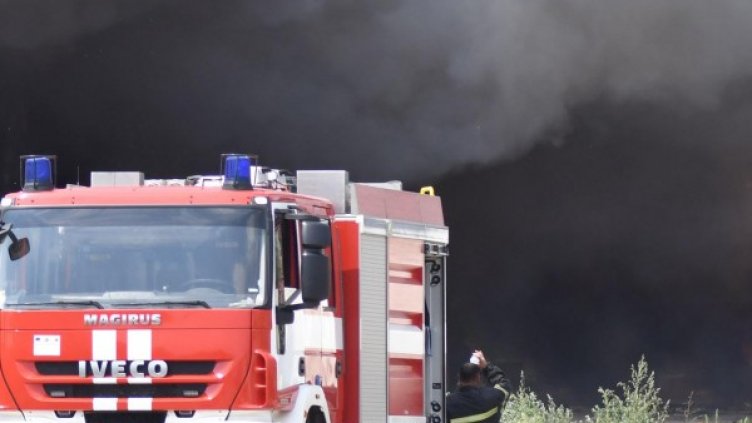 Снимка: Булфото, архив