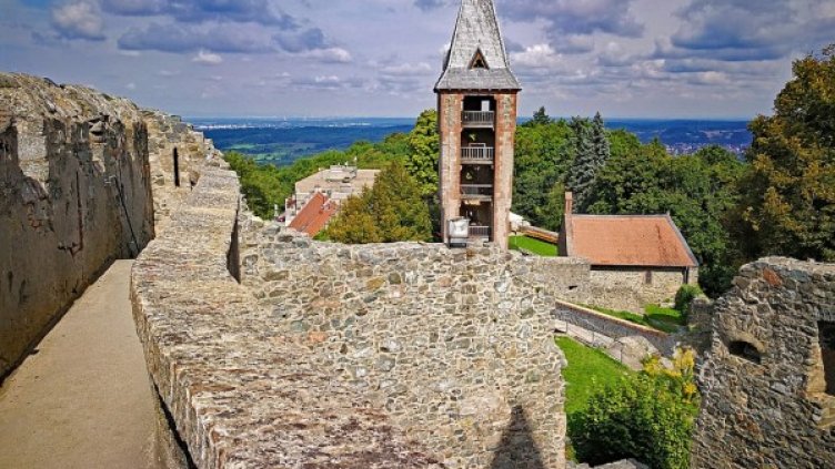 Снимка: Pixabay