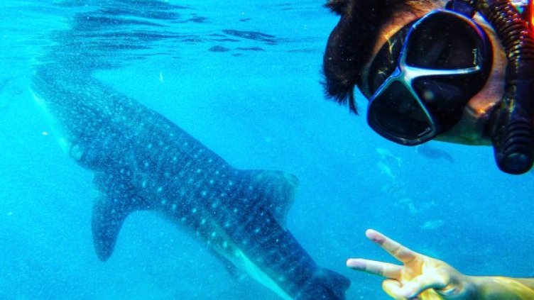 Снимка: Instagram