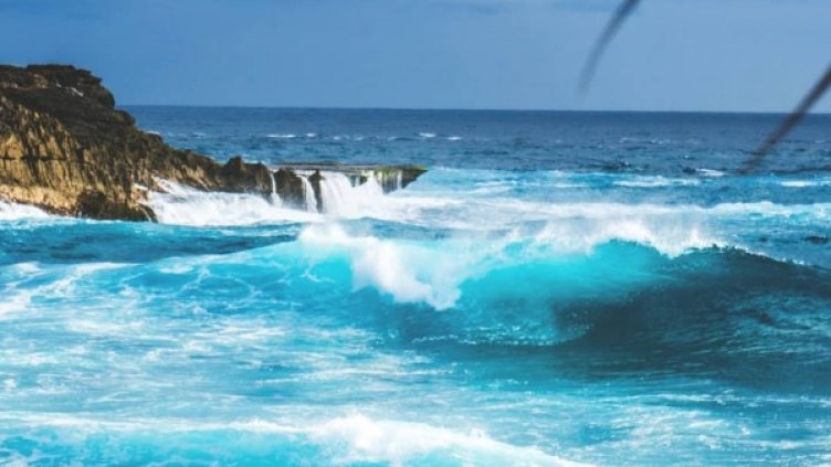 Снимка: Instagram