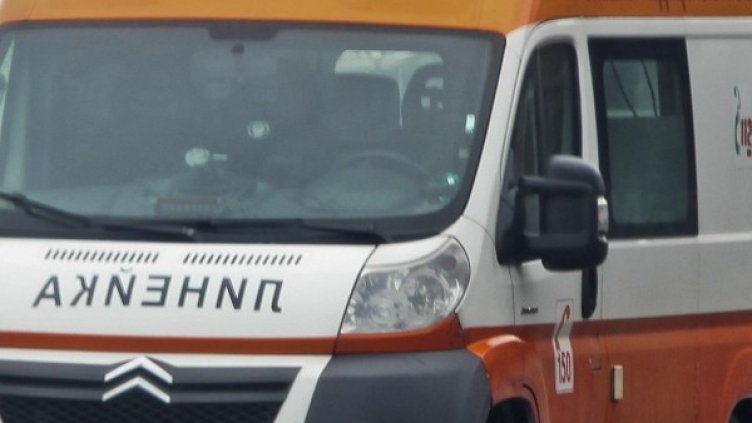 Снимка: Архив, Булфото