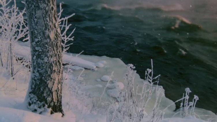 Снимка: flickr