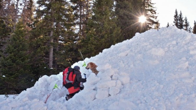 Демонстрация на ПСС за спасяване в планината. Снимка: архив, БулФото