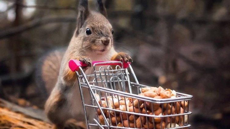 Снимка: Instagram