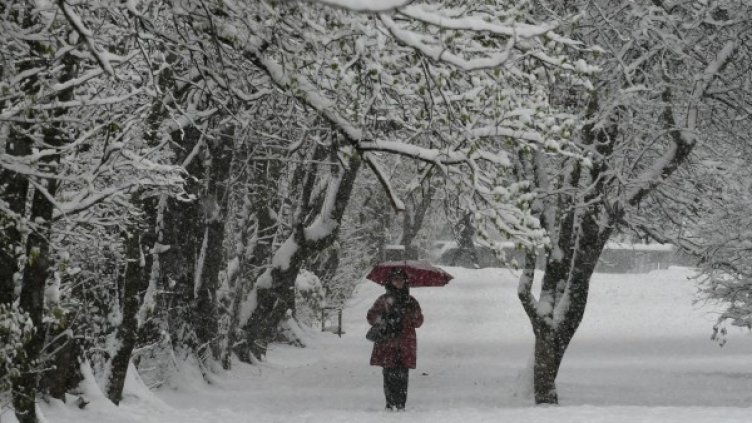 Снимка: архив "Булфото"