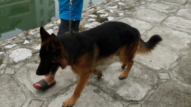 Снимка: архив, Reuters