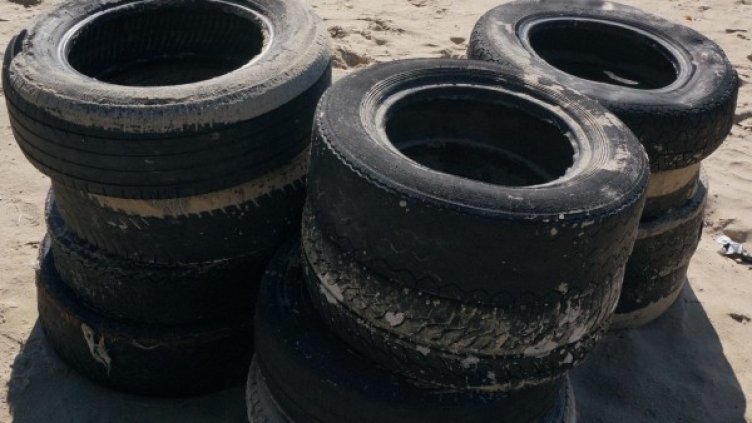 Снимка: Булфото