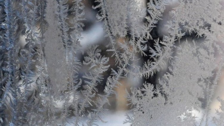 Снимка: архив, БулФото