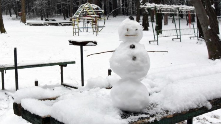 Снимка: архив "Булфото"