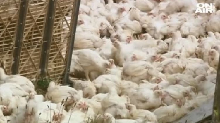 Снимка: Bulgaria ON AIR