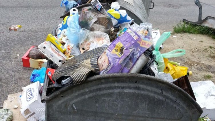 Снимка: Архив, Булфото