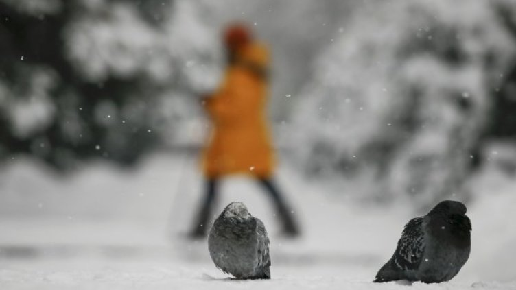 Снимка: Reuters, архив