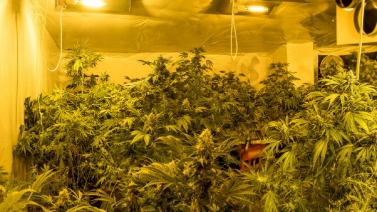 Снимка: МВР