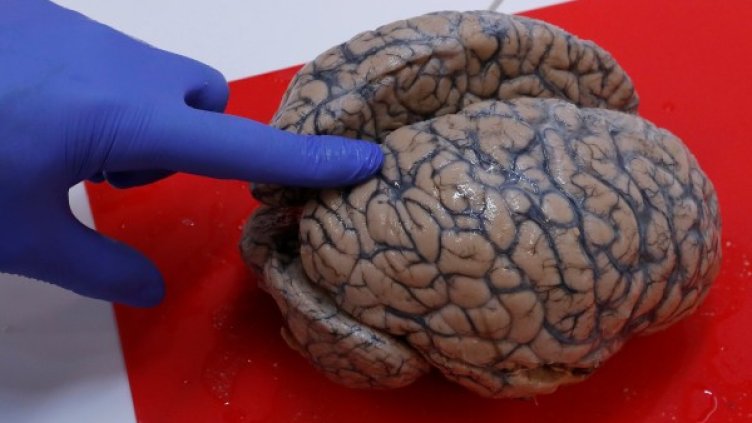 Снимка: Rеuters