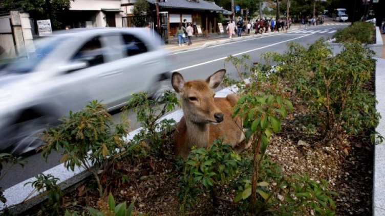 Снимка: Архив, Reuters
