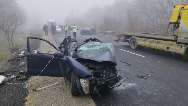 Снимка: архив "Булфото"