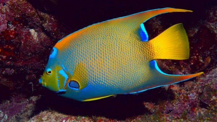 Снимка: Instagram