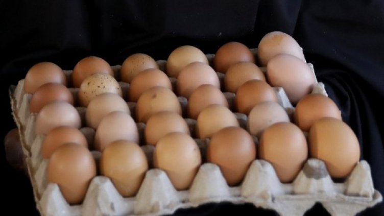 Снимка: Reuters