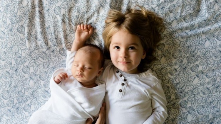 Снимка: pexels