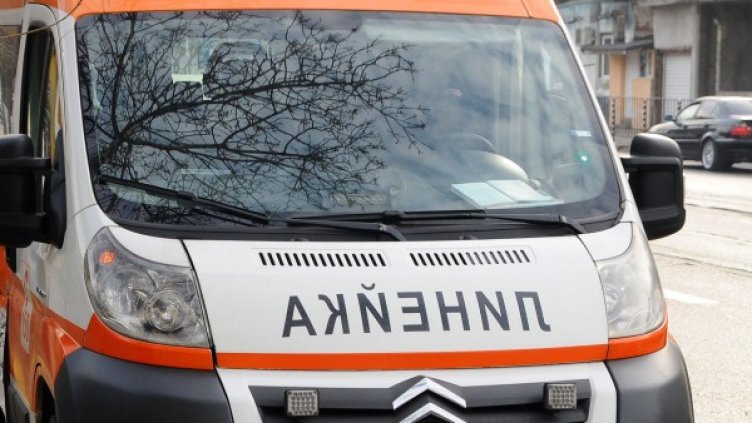 Снимка: архив "Булфото"