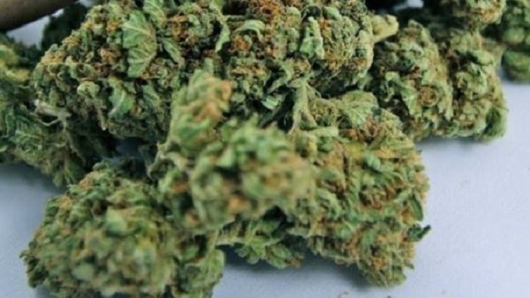 Снимка: МВР