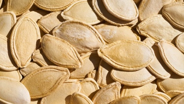 Снимка: pixabay