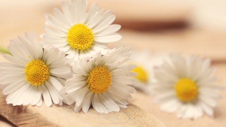 Снимка: pexels