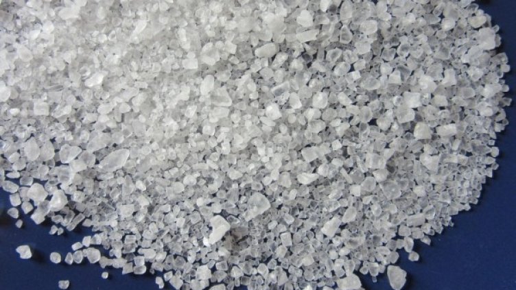 Снимка: Pixabay