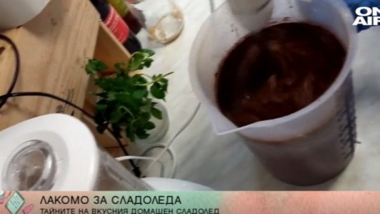 Снимка: Bulgaria ON AIR