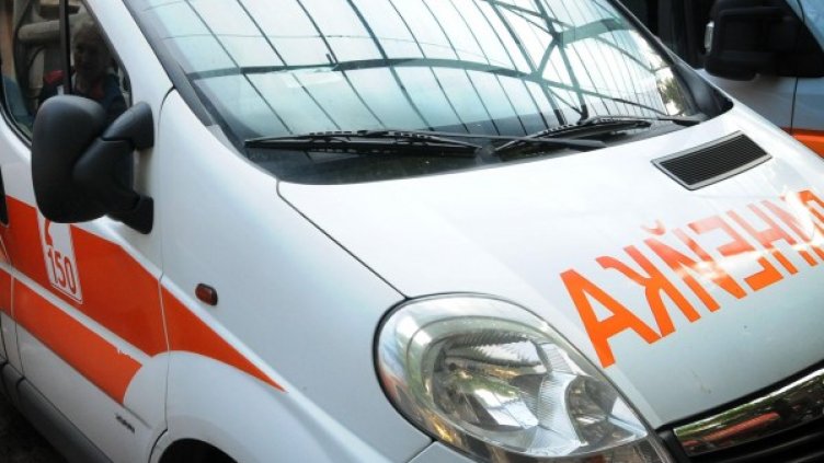 Снимка: Архив, Булфото