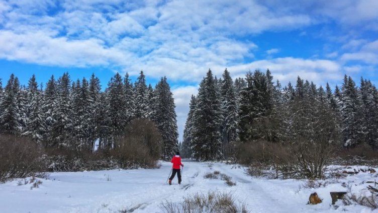 Снимка:  Reuters