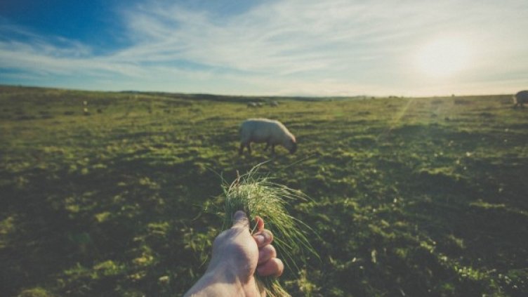 Снимка: visualhunt.com