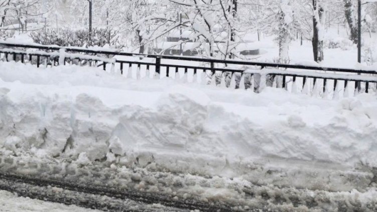 Снимка: архив Булфото