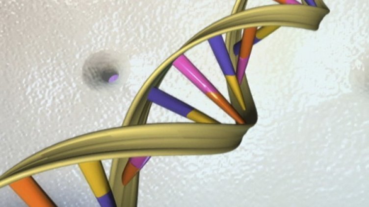 Снимка: архив, Reuters