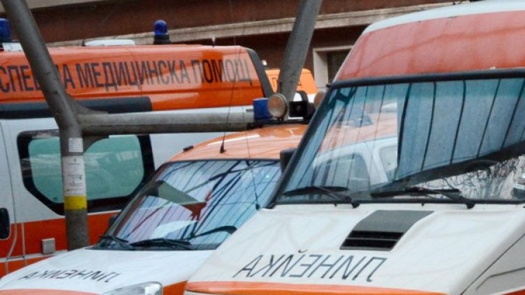 Снимка: Булфото, архив