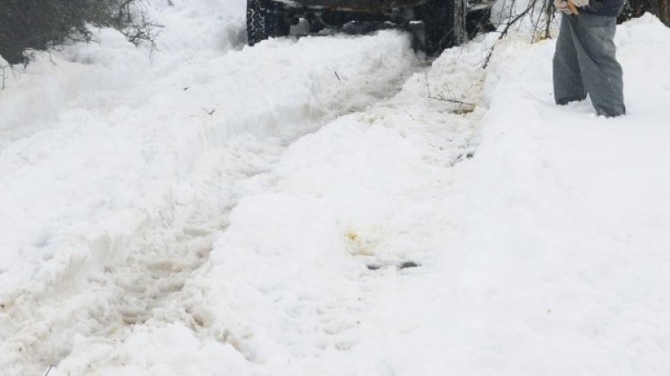 Снимка: Булфото, архив