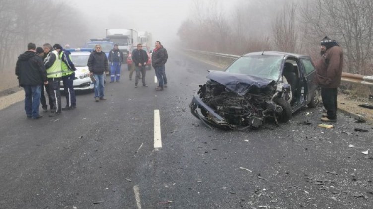 Снимка: архив "Булфото"