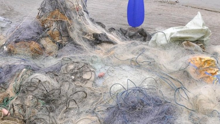 Снимка: Булфото, архив