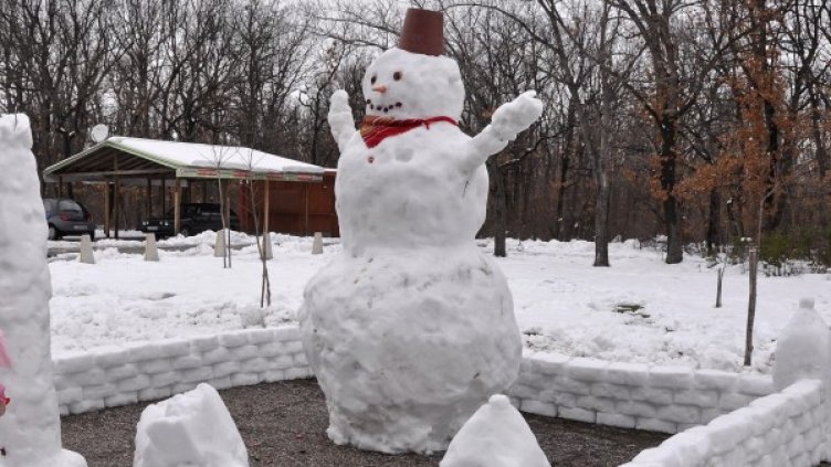 Снимка: архив "Булфото"