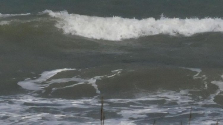 Снимка: архив, Булфото