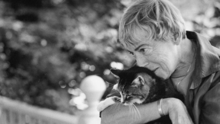 Снимка:Twitter