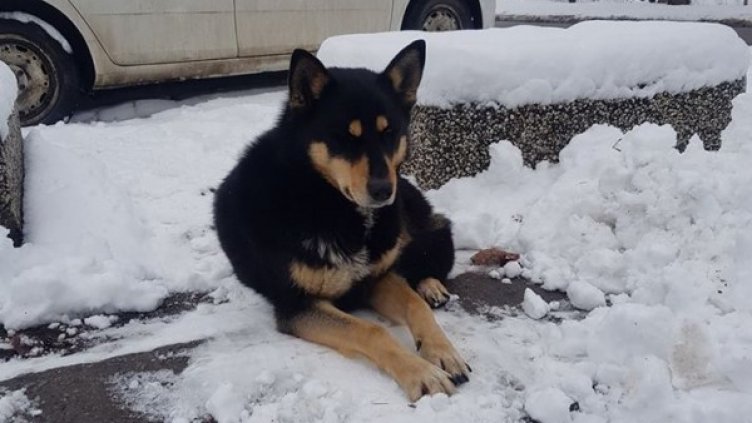 Снимка: Facebook